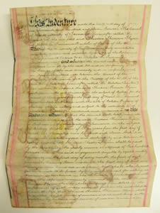appointment of flynn