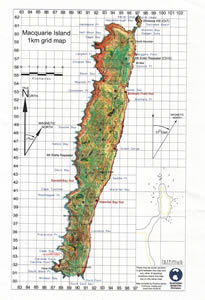 macquarie island