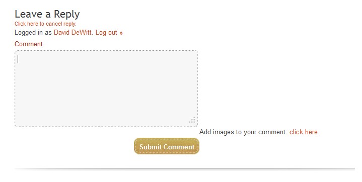 image-in-comments1.jpg