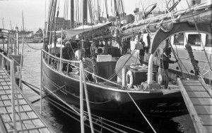 Zaca in Cannes