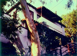 6) Bella Vista 1