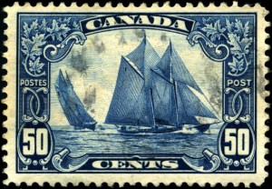 bluenose