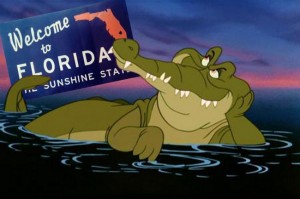 Florida-Alligator