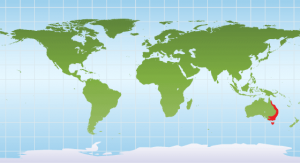 worldmap_platypus