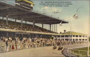 St.Petersburg Kennel Club - Derby Lane, Greyhound Racing St. Petersburg