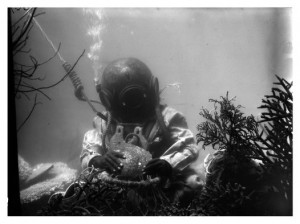 fank hurley underwater