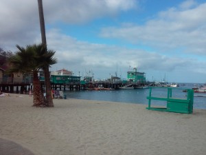 20151018_153626