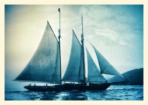 IMG_2372-2-1~2