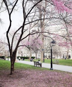 Curtis Center in Spring