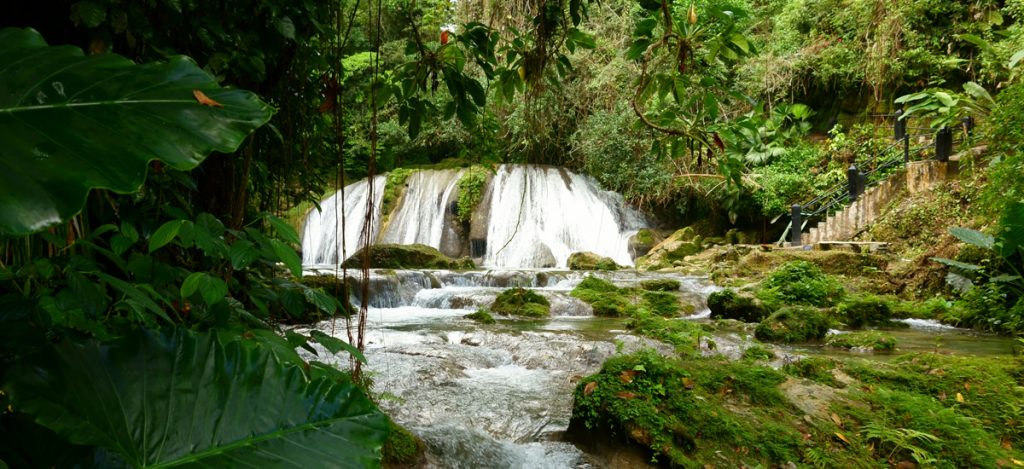 jamaica-portland-reach-falls