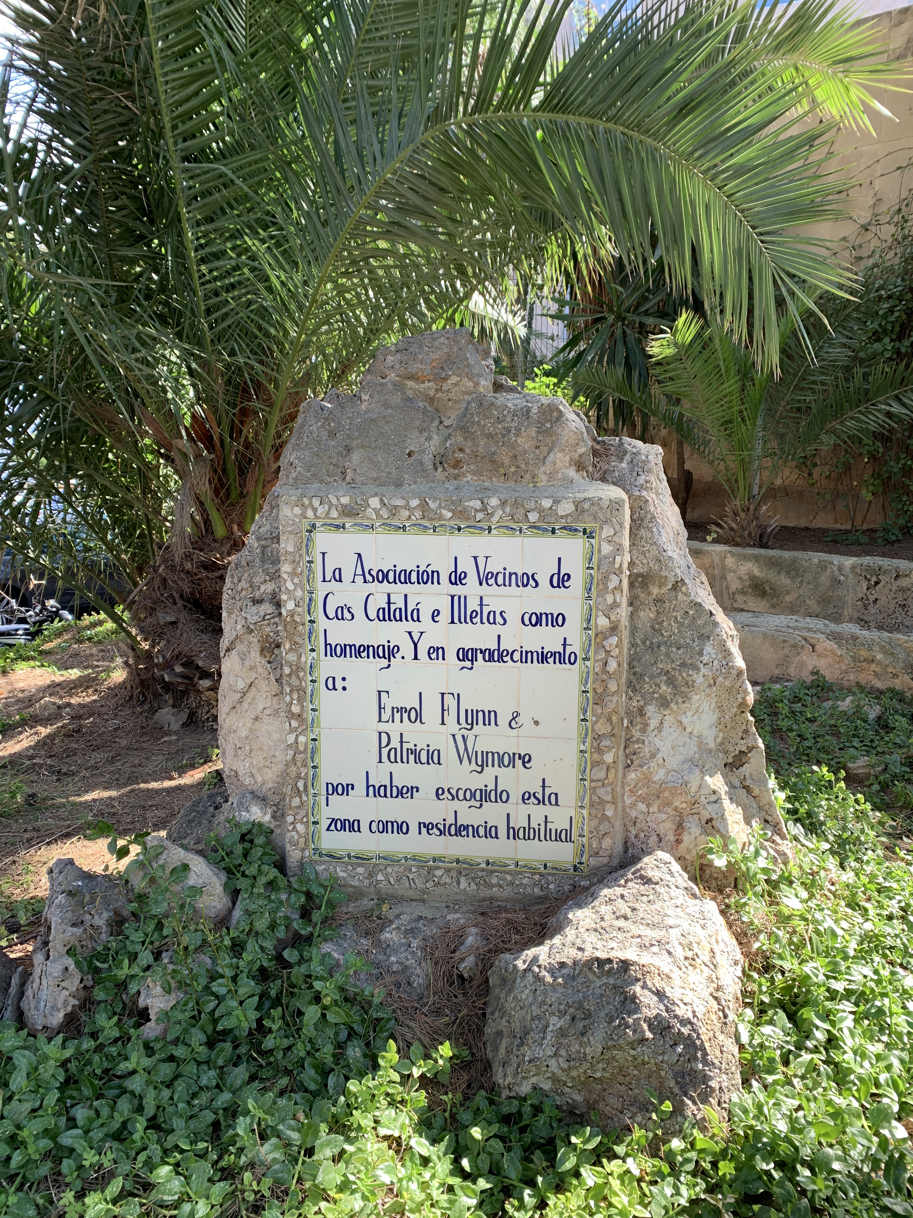 Plaque